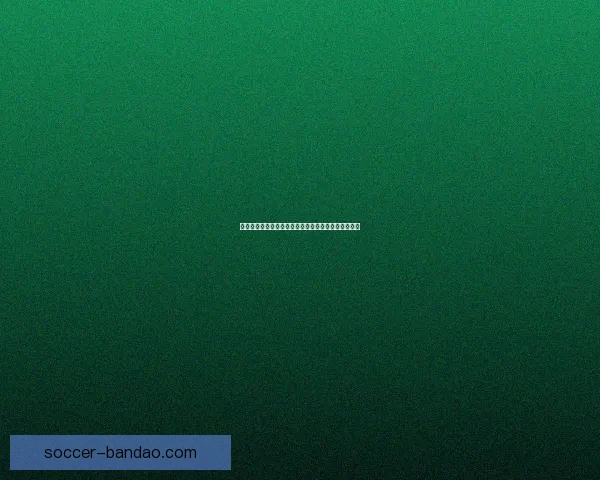 半岛体育官网：全面解析最新赛事动态与用户体验优化